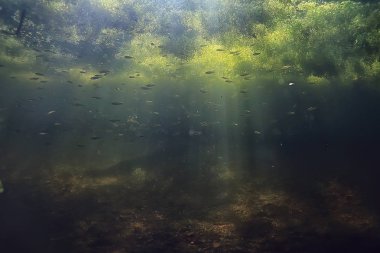 Göl ekosistemi ve güneş ışınları sualtı