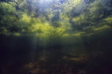Göl ekosistemi ve güneş ışınları sualtı