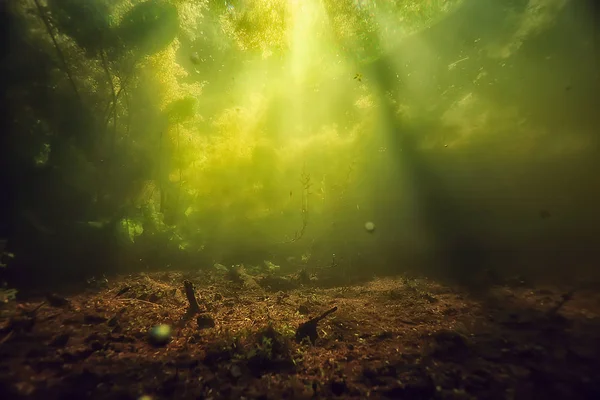 Подводный Вид Дно Озера Водорослями — стоковое фото