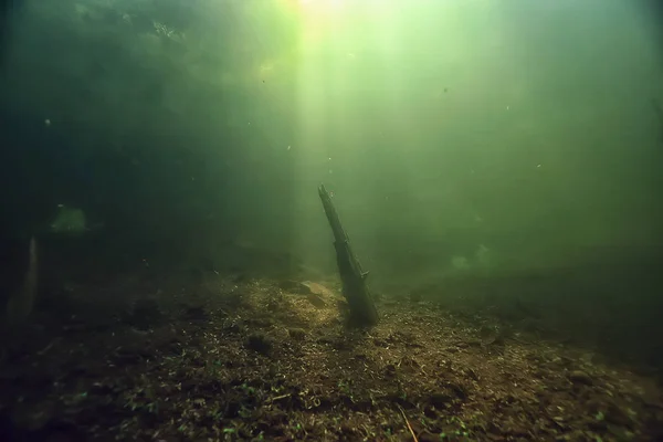 underwater view of lake bottom with algae