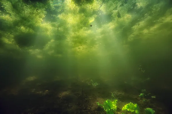 생태계와 태양의 광선의 — 스톡 사진
