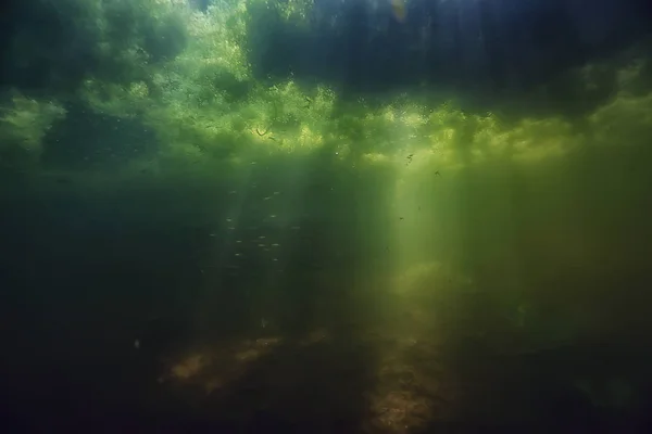 Underwater Lake Ecosystem Rays Sun — Stock Photo, Image