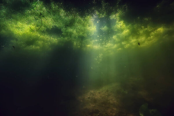 Underwater of lake ecosystem and rays of sun