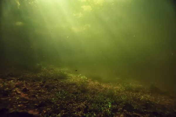 Pod Vodou Jezera Ekosystému Paprsky Slunce — Stock fotografie