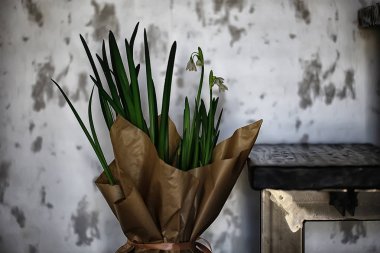 kardelen çiçek, güzel bahar arka plan 