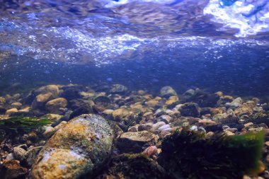 Sualtı dağ açık nehir, sualtı fotoğraf bir tatlı su Nehri, hızlı geçerli havada su, sualtı ekosistem manzara kabarcıklar.