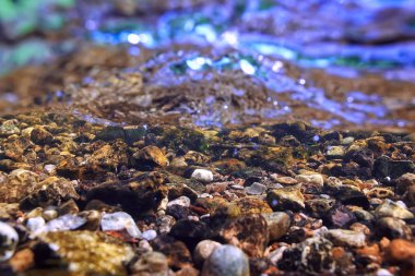 Sualtı dağ açık nehir, sualtı fotoğraf bir tatlı su Nehri, hızlı geçerli havada su, sualtı ekosistem manzara kabarcıklar.