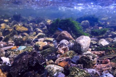 Sualtı dağ açık nehir, sualtı fotoğraf bir tatlı su Nehri, hızlı geçerli havada su, sualtı ekosistem manzara kabarcıklar.