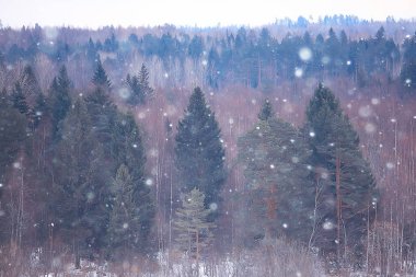 Sisli kış manzarası kar yağışı ve orman, soğuk mevsimsel hava ile