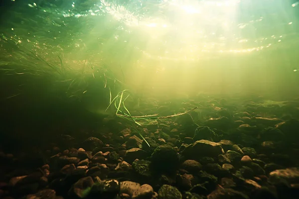 Podwodnego Ekosystemu Jeziora Promienie Słońca — Zdjęcie stockowe