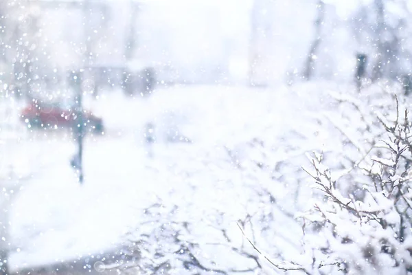 Ramas Cubiertas Nieve Fondo Árboles Invierno Arbustos Sin Hojas Nevadas — Foto de Stock