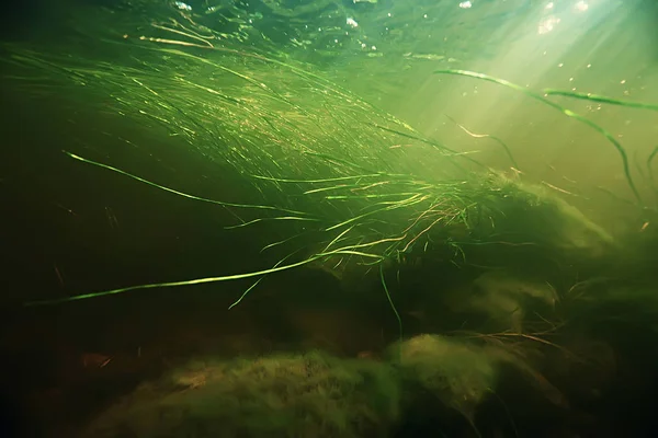 水下湖泊生态系统与太阳射线 — 图库照片