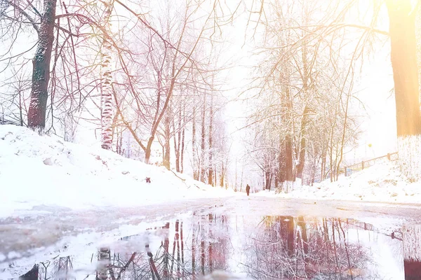 Пейзажна Зима Парку Сонце Промені Відблиски Від Сонця Засніженому Лісі — стокове фото