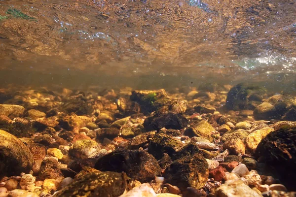 underwater mountain clear river, underwater photo in a freshwater river, fast current, air bubbles by water, underwater ecosystem landscape