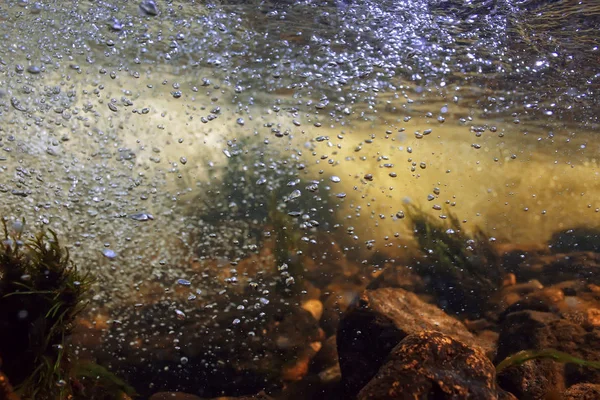 Підводні Гори Чиста Річка Підводне Фото Прісноводній Річці Швидка Течія — стокове фото