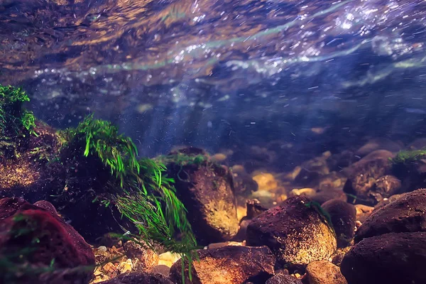 Sluneční Paprsky Podvodní Foto Textura Podvodní Krajiny Sluneční Paprsky Modré — Stock fotografie