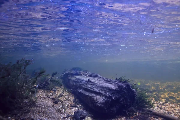 Sualtı Dağ Açık Nehir Sualtı Fotoğraf Bir Tatlı Nehri Hızlı — Stok fotoğraf