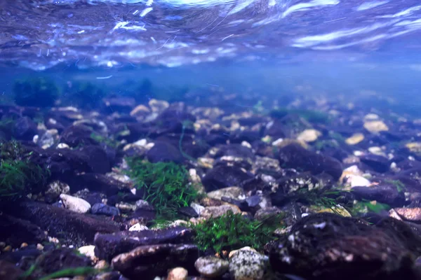 underwater mountain clear river, underwater photo in a freshwater river, fast current, air bubbles by water, underwater ecosystem landscape