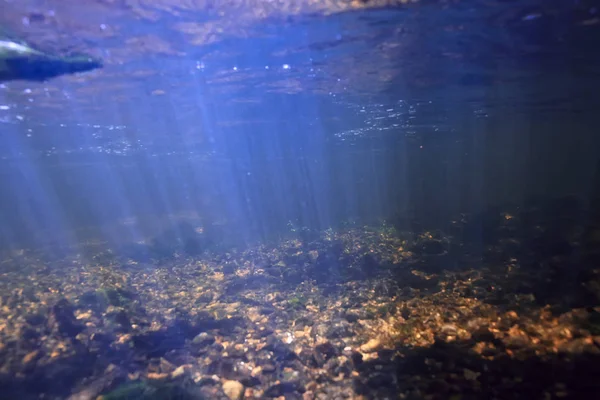 Підводні Гори Чиста Річка Підводне Фото Прісноводній Річці Швидка Течія — стокове фото