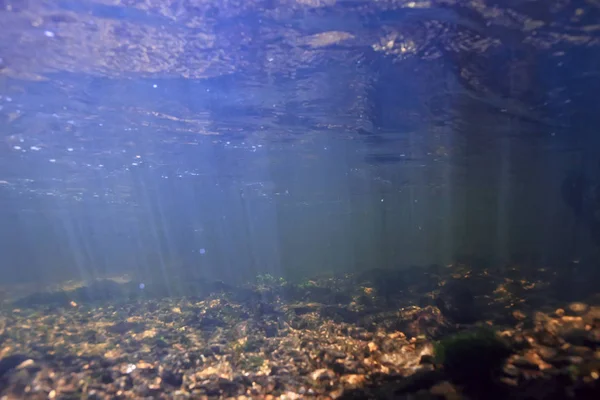 sunbeams underwater photo / texture underwater landscape with sun rays, blue water sun in the ocean