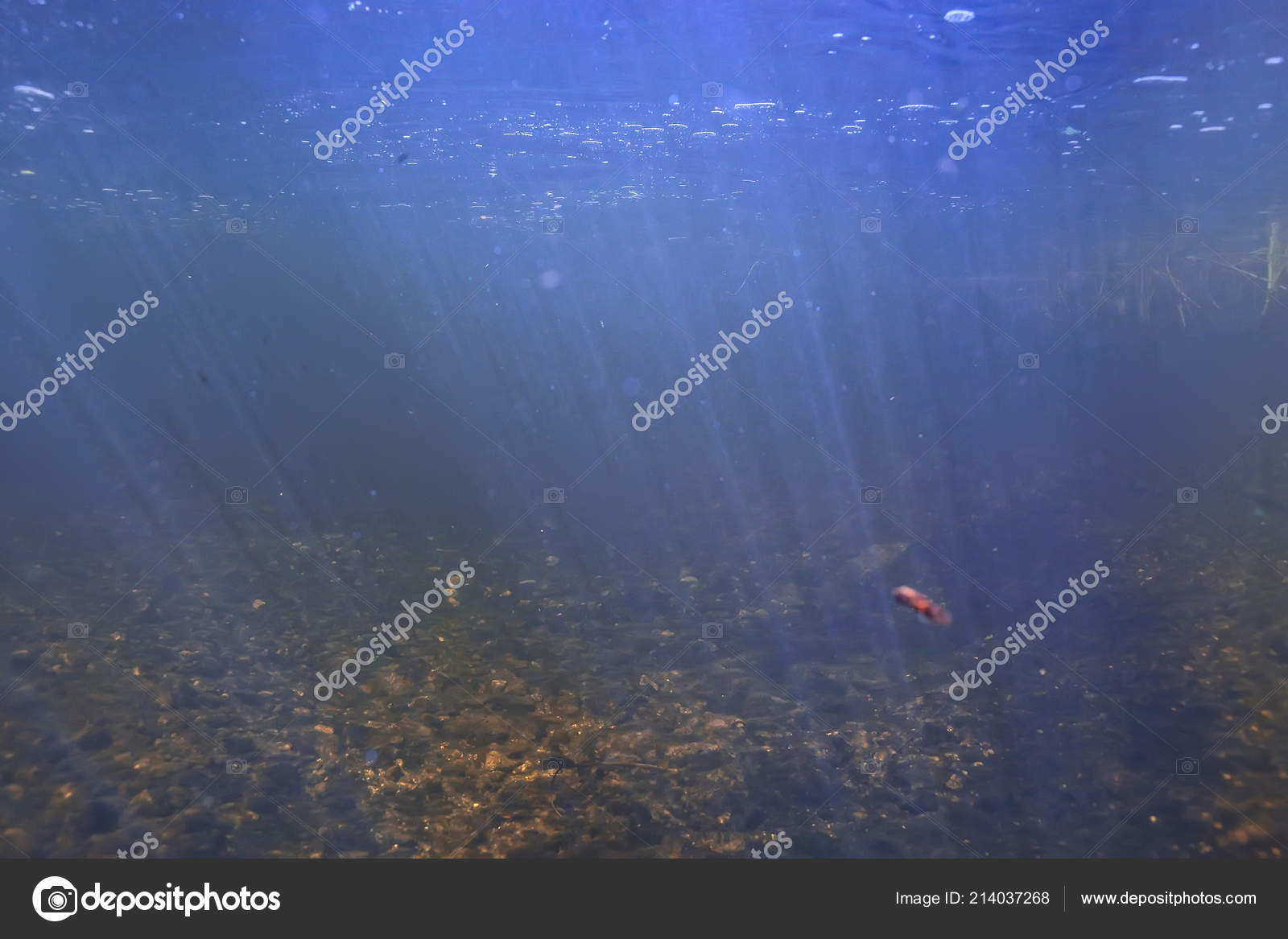 https://st4.depositphotos.com/1400069/21403/i/1600/depositphotos_214037268-stock-photo-underwater-texture-water-lake-underwater.jpg