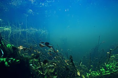 Sualtı dağ açık nehir, sualtı fotoğraf bir tatlı su Nehri, hızlı geçerli havada su, sualtı ekosistem manzara kabarcıklar.