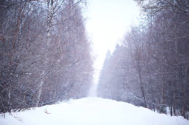 Sisli kış manzarası kar yağışı ve orman, soğuk mevsimsel hava ile