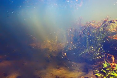 Sualtı dağ açık nehir, sualtı fotoğraf bir tatlı su Nehri, hızlı geçerli havada su, sualtı ekosistem manzara kabarcıklar.