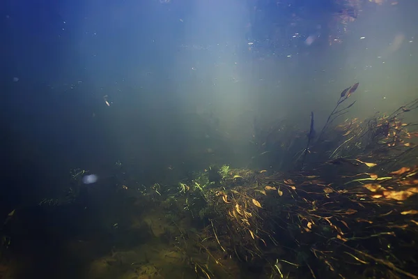 sunbeams underwater photo / texture underwater landscape with sun rays, blue water sun in the ocean