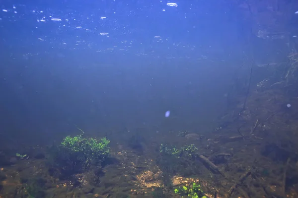 Podvodní Krajiny Transparentní Jezero Fresh Vodní Ekosystém Neobvyklé Krajiny Pod — Stock fotografie