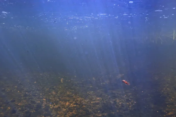 underwater texture of water in a lake, underwater photo freshwater ecosystem, water texture background