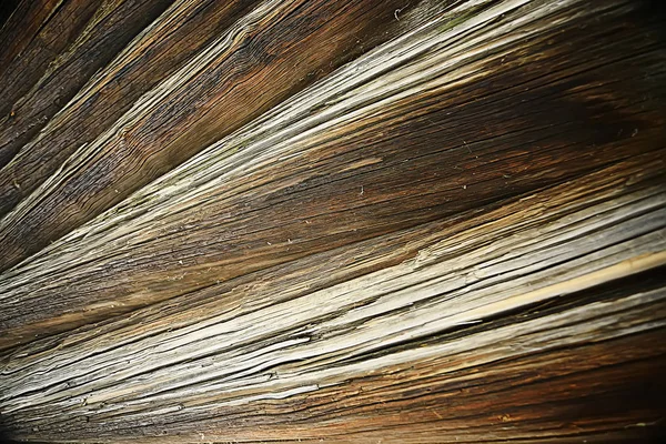 Texture Background Old Logs Abstract Gray Nature Background — Stock Photo, Image