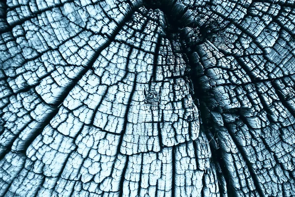 Υφή Παλιό Δέντρο Μπλε Αφηρημένα Ξύλο Υφή Φόντου — Φωτογραφία Αρχείου