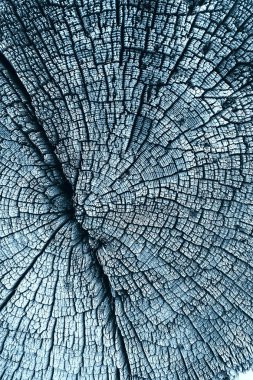 doku eski ağaç mavi / soyut ahşap doku arka plan