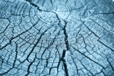 doku eski ağaç mavi / soyut ahşap doku arka plan