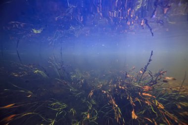 Sualtı dağ açık nehir, sualtı fotoğraf bir tatlı su Nehri, hızlı geçerli havada su, sualtı ekosistem manzara kabarcıklar.