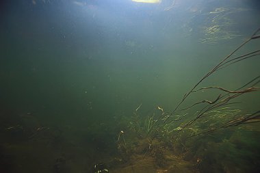 sualtı manzara saydam göl / taze su ekosistemi alışılmadık manzara su altında