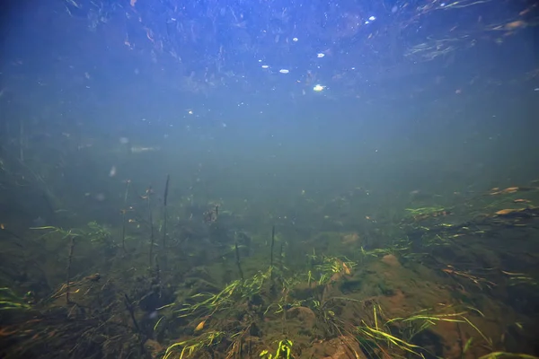 Paisaje Submarino Lago Transparente Ecosistema Agua Dulce Paisaje Inusual Bajo — Foto de Stock