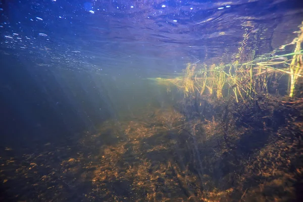Underwater Landscape Transparent Lake Fresh Water Ecosystem Unusual Landscape Water — Stock Photo, Image