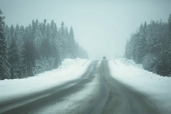 Nieve Niebla Camino Invierno Paisaje Solitario Invierno —  Fotos de Stock