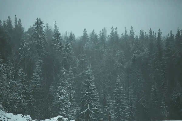 雪と冬の道 冬の寂しい風景に霧 — ストック写真