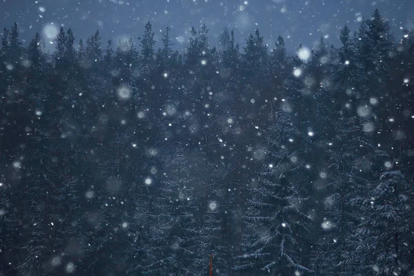 Schnee Und Nebel Auf Winterlichen Straßen Wintereinsame Landschaft — Stockfoto