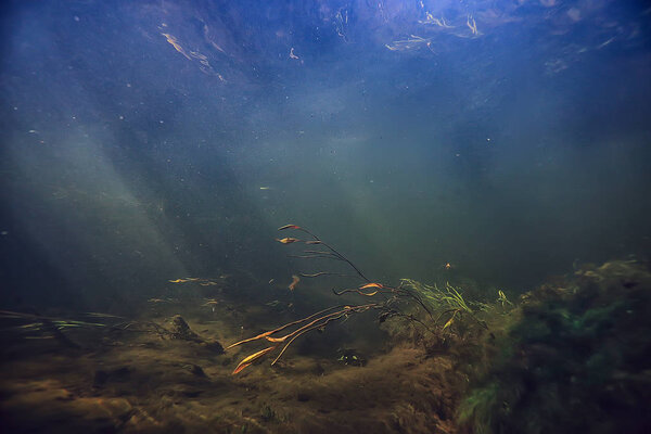 солнечные лучи под водой фото / текстура подводного ландшафта с солнечными лучами, синее водное солнце в океане
