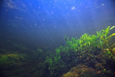 Sualtı dağ açık nehir, sualtı fotoğraf bir tatlı su Nehri, hızlı geçerli havada su, sualtı ekosistem manzara kabarcıklar.