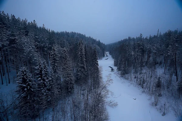 積雪と森林 季節寒さと霧の冬の風景 — ストック写真