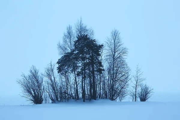 Paysage Hivernal Brumeux Avec Chutes Neige Forêt Temps Froid Saisonnier — Photo