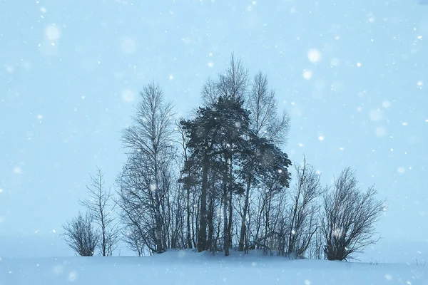 Mglisty Zimowy Krajobraz Śniegu Lasu Sezonowe Niskich Temperaturach — Zdjęcie stockowe