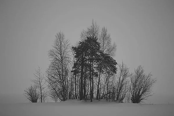 Niebla Paisaje Invierno Con Nevadas Bosques Clima Frío Estacional — Foto de Stock