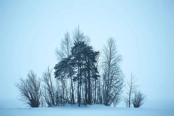 Nevoeiro Paisagem Inverno Com Nevasca Floresta Tempo Sazonal Frio — Fotografia de Stock