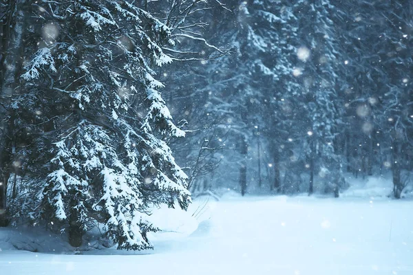 Dimmigt Vinterlandskap Med Snöfall Och Skog Säsongsbetonade Kyla — Stockfoto